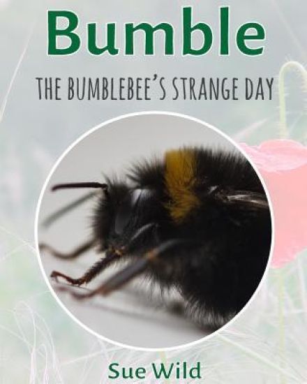 Kansikuva: Bumble: The bumblebee's strange day