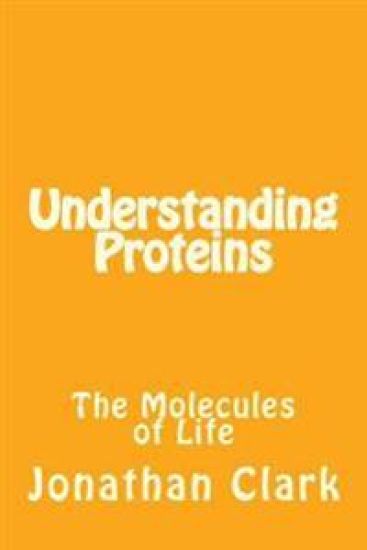 Understanding Proteins