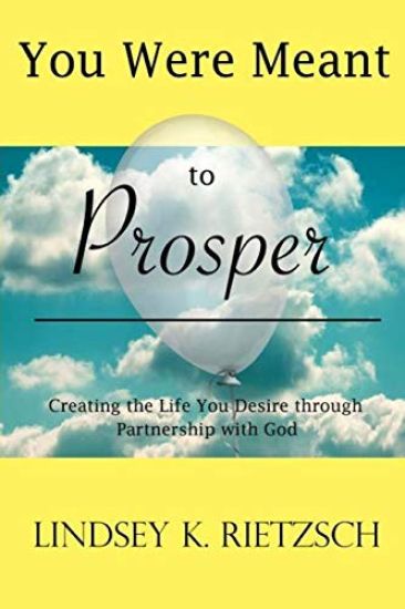You Were Meant to Prosper: Creating the Life You Desire through Partnership with God