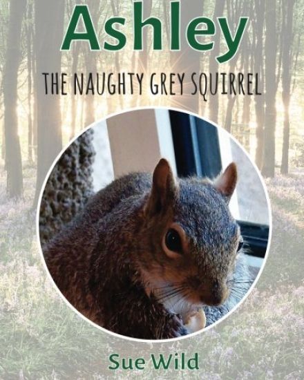 Ashley: The naughty grey squirrel