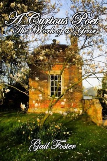 A Curious Poet: An anthology of poetry and prose