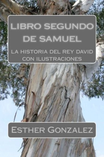 libro segundo de samuel: la historia del rey david