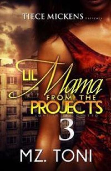 Lil Mama From The Projects 3