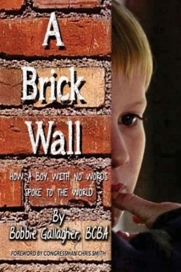 A Brick Wall: How a Boy with No Words Spoke to the World