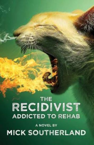 The Recidivist: Addicted to Rehab: A shocking novel about alcoholism, rehab, and redemption.