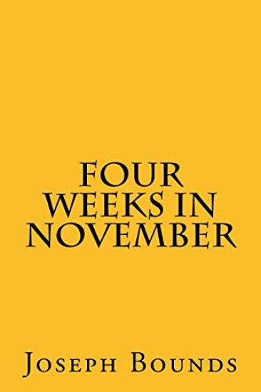 Four Weeks in November