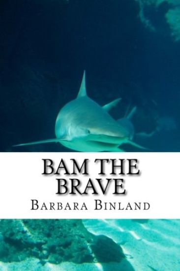 Bam the Brave