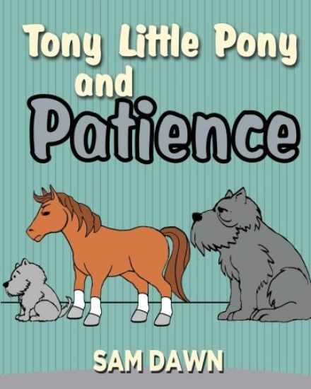 Tony Little Pony and Patience