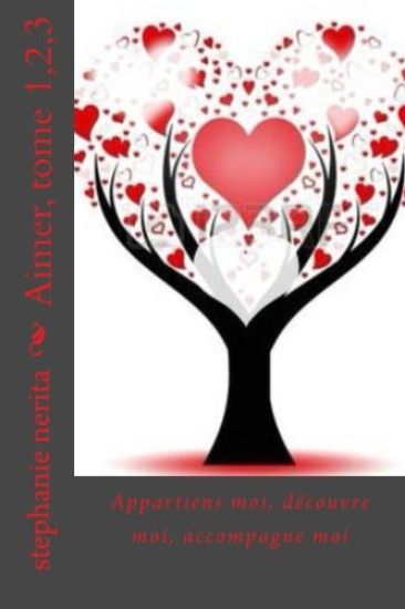 Aimer, tome 1,2,3: Appartiens moi, decouvre moi, accompagne moi