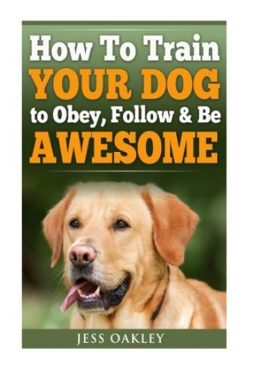How To Train Your Dog To Obey, Follow & Be Awesome