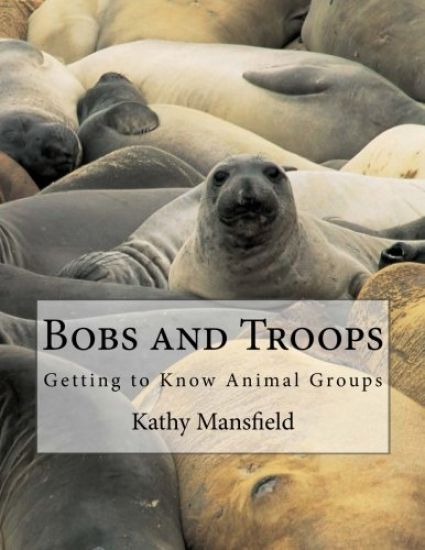Bobs and Troops: Getting to Know Animal Groups
