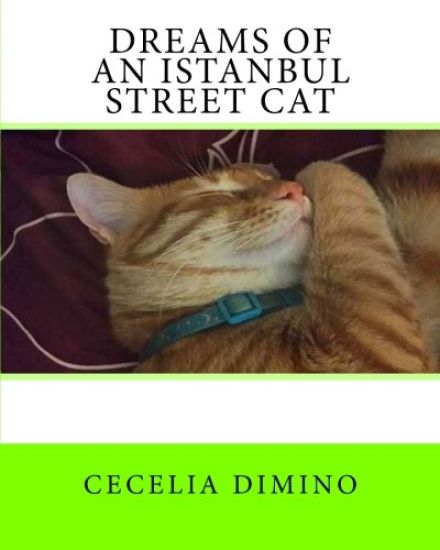 Dreams of an Istanbul Street Cat