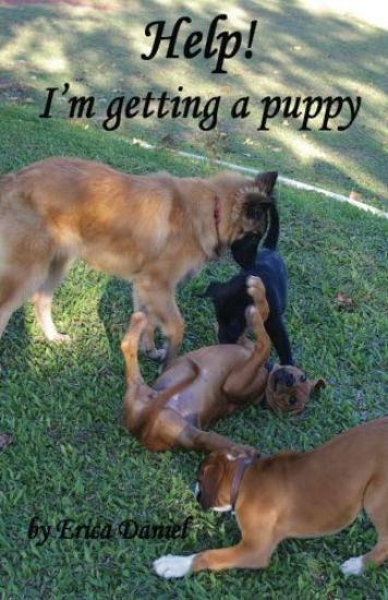 Help! I'm Getting a Puppy
