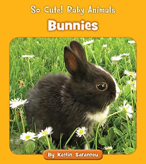 Bunnies