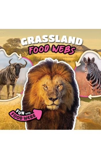Grassland Food Webs