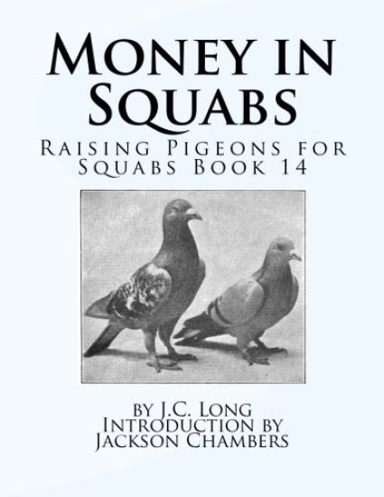 Money in Squabs: Raising Pigeons for Squabs Book 14