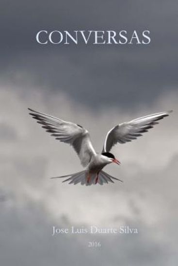 Conversas
