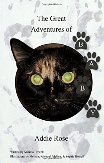 The Great Adventure of Addie Rose Baby