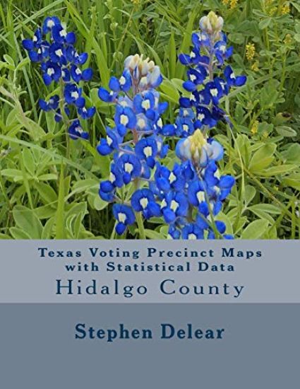 Texas Voting Precinct Maps with Statistical Data: Hidalgo County