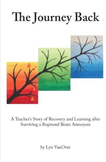 The Journey Back: A Teacher's Story of Recovery and Learning after Surviving a Ruptured Brain Aneurysm