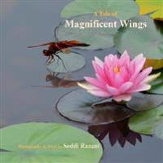 A Tale of Magnificent Wings: My Adventure with Dragonflies