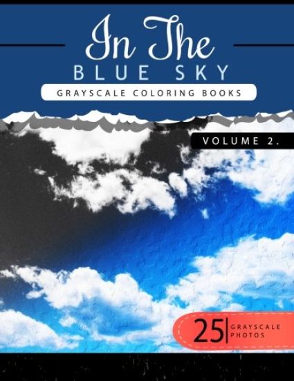 In the Blue Volume 2: Sky Grayscale coloring books for adults Relaxation Art Therapy for Busy People (Adult Coloring Books Series, grayscale