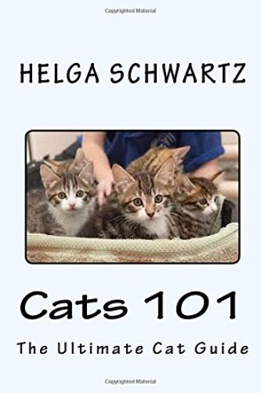 Cats 101: The Ultimate Cat Guide