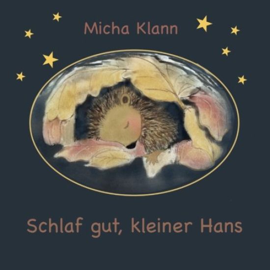 Schlaf gut, kleiner Hans: Die Geschichte vom kleinen Igel Hans, der sich kein Winternest baute.