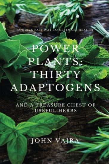 Power Plants: Thirty Adaptogens: And a Treasure Chest of Useful Herbs