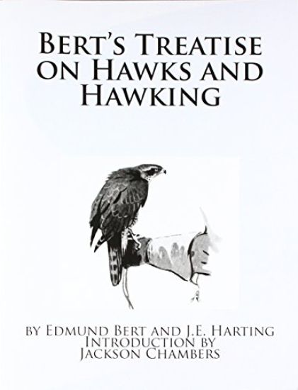 Bert's Treatise on Hawks and Hawking