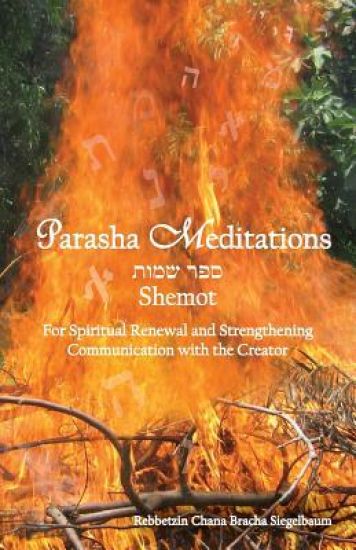 Parasha Meditations: Shemot - Internalizing Healing Transformation: For Spiritual Renewal and Strengthening Communication with the Creator