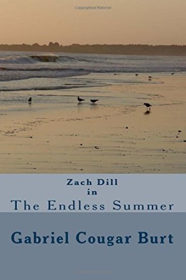 Zach Dill in The Endless Summer