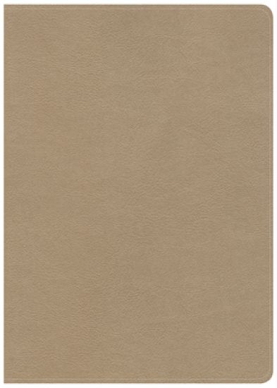 CSB She Reads Truth Bible, Champagne Gold LeatherTouch