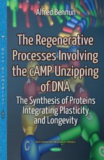 The Regenerative Processes Involving the Camp Unzipping of DNA