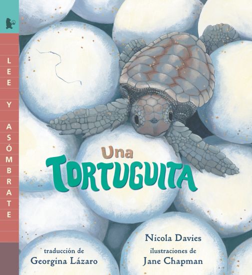 Una Tortuguita: Lee Y Asómbrate