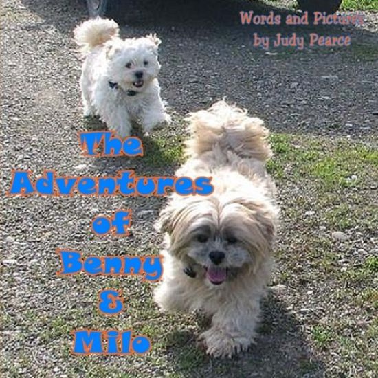 The Adventures of Benny and Milo: Milo's Journey Across the Rainbow Bridge