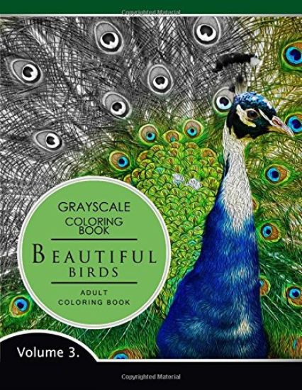Beautiful Birds Volume 3: Grayscale coloring books for adults Relaxation (Adult Coloring Books Series, grayscale fantasy coloring books)