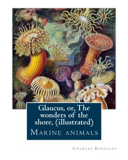 Glaucus, or, The wonders of the shore, By Charles Kingsley (illustrated): Marine animals