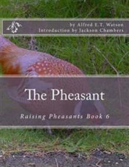 The Pheasant: Raising Pheasants Book 6
