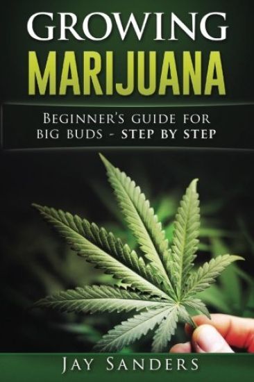 Growing Marijuana: Beginner's Guide for Big Buds - step by step