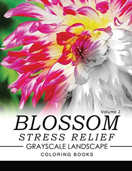 Blossom Stress Relief GRAYSCALE Landscape Coloring Books Volume 2