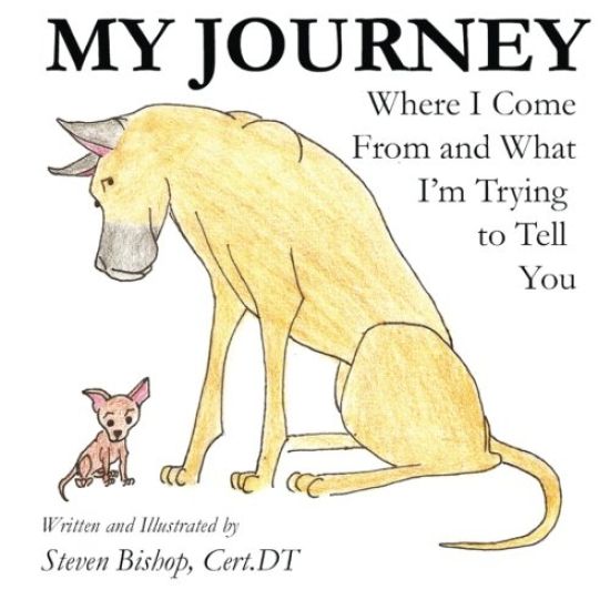 My Journey: Where I Come From and What I'm Trying to Tell You, 2nd Edition