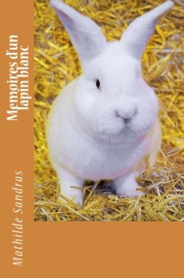 Memoires d'un lapin blanc