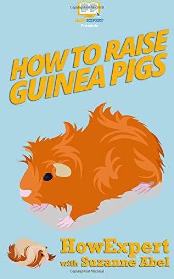 How To Raise Guinea Pigs: Your Step-By-Step-Guide to Raising Guinea Pigs