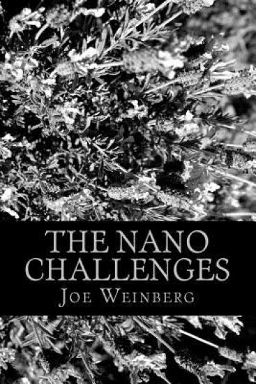 The Nano Challenges: Four novels written on a dare