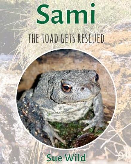 Sami: the toad gets rescued
