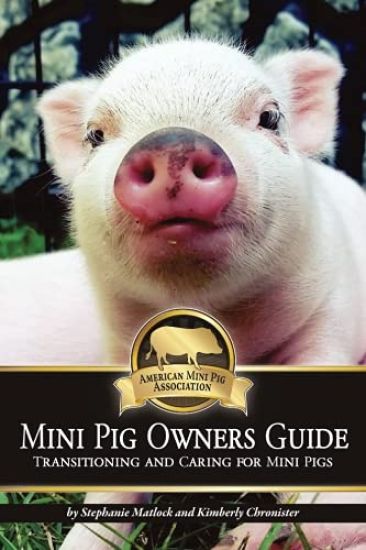 Mini Pig Owners Guide: Transitioning and Caring for Mini Pigs