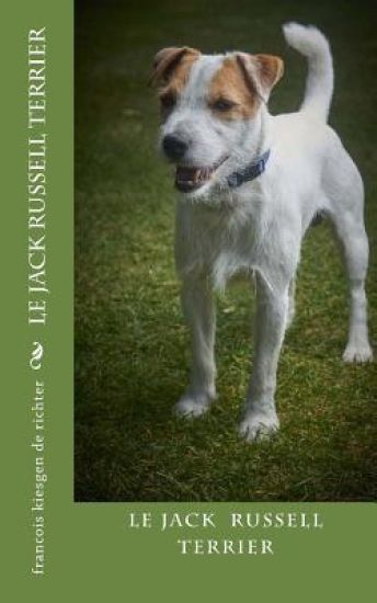 jack russell terrier