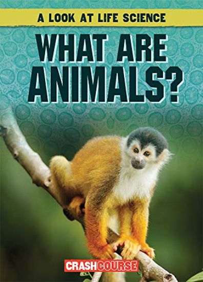 What Are Animals?