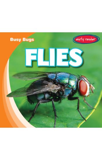 Flies